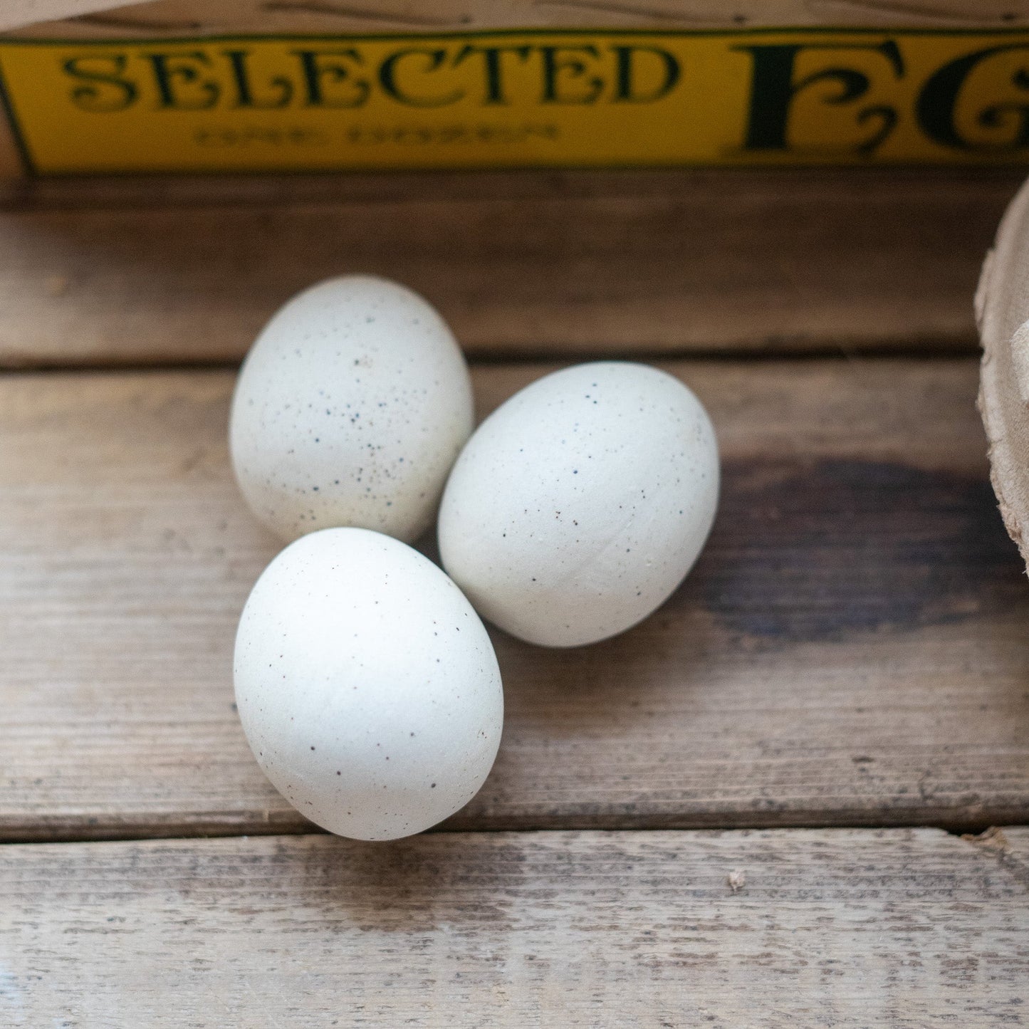 CERAMIC NEST EGG SET- SPECKLED WHITE