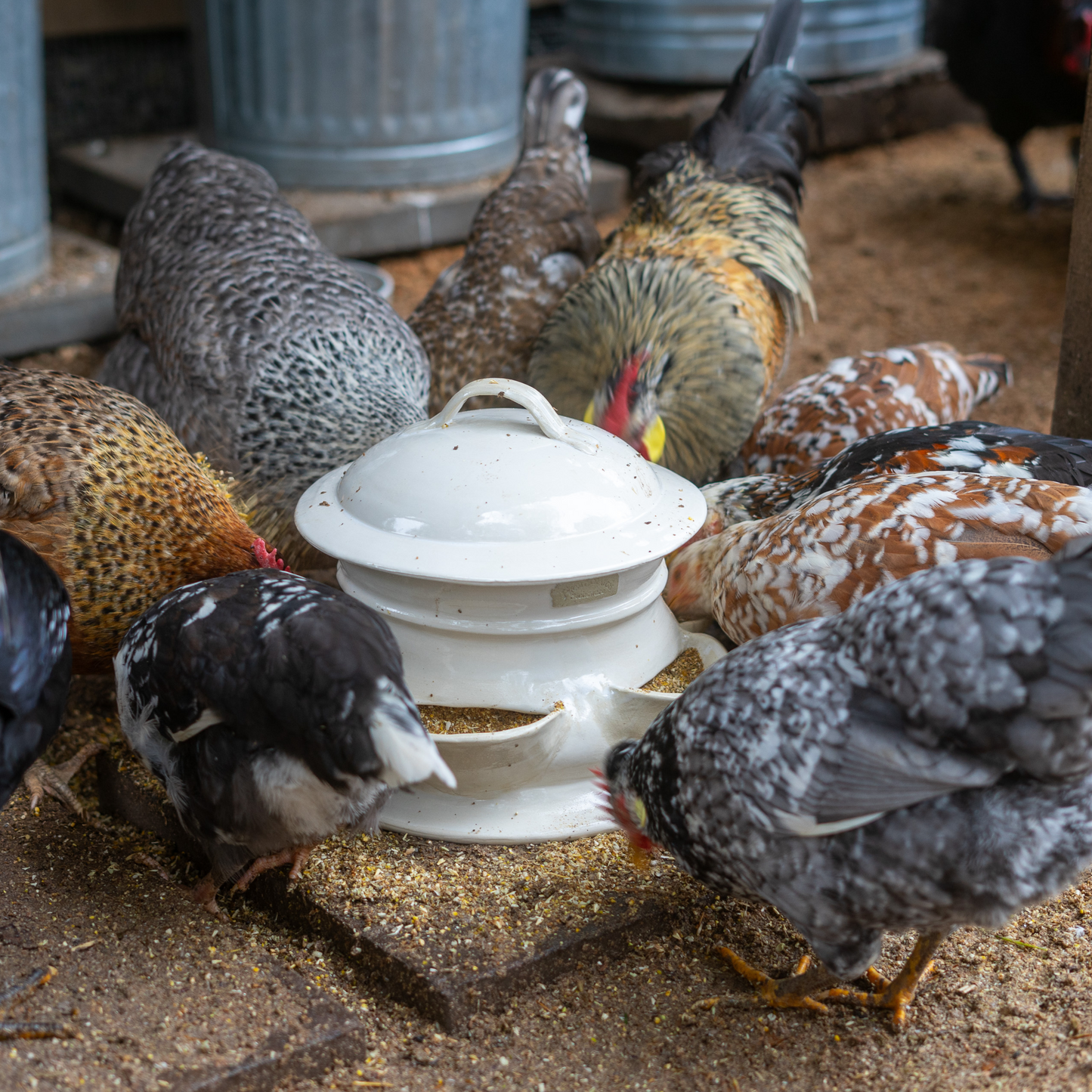 HOMESTEAD HANDMADE CERAMIC CHICKEN FEEDER