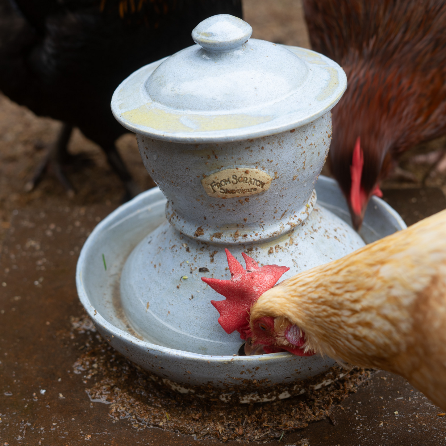 ONE PIECE CERAMIC CHICKEN WATERER